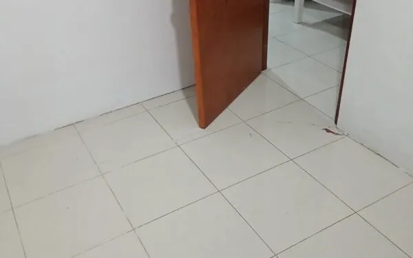 2 Room apartment — Malé — Machchangolhi