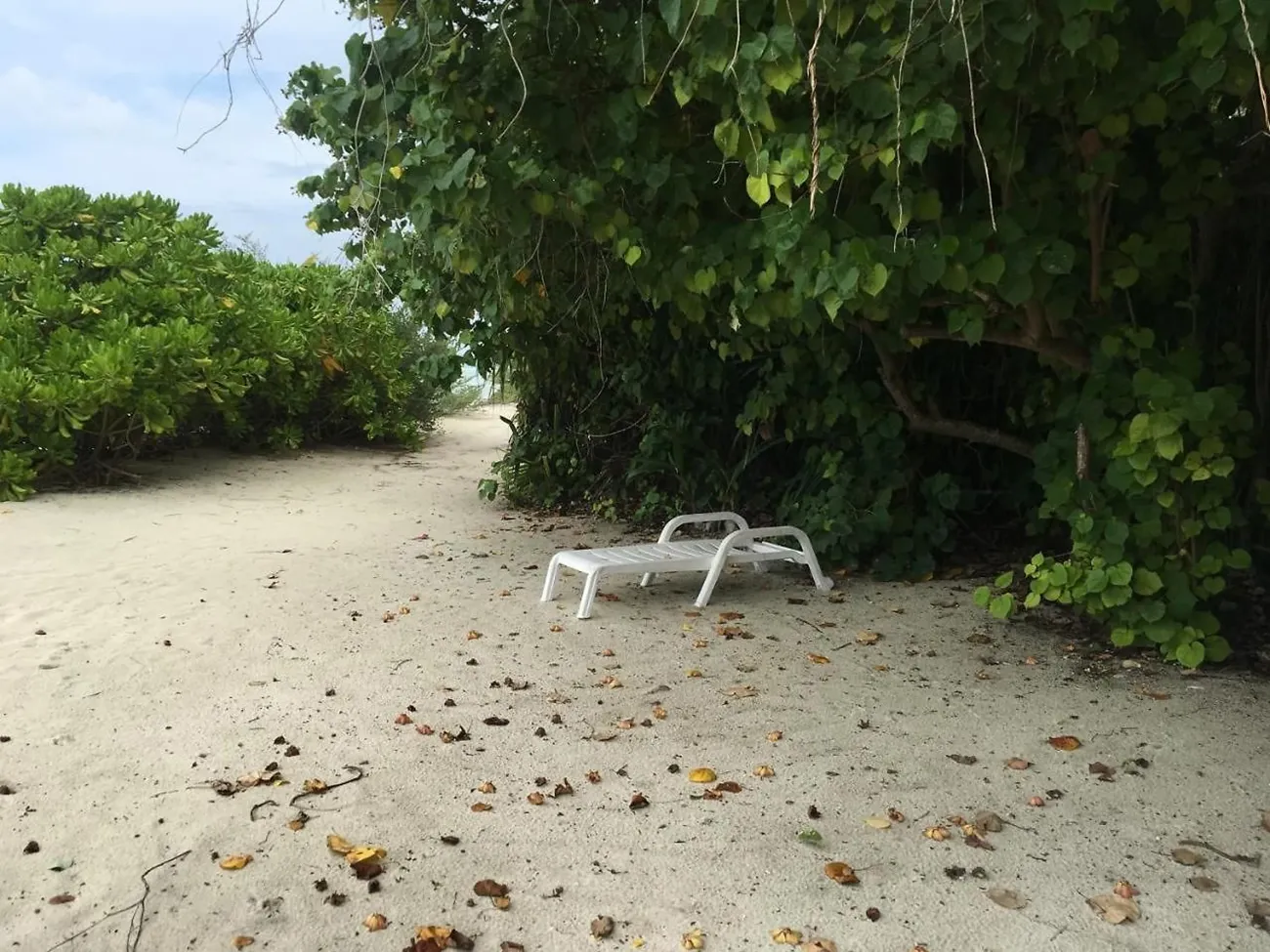 Guest Room for Rent (IS 119) — Thinadhoo