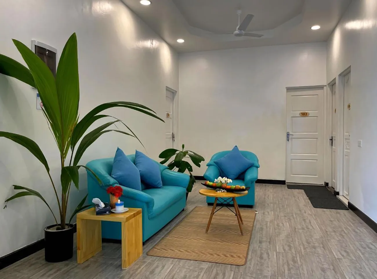 Guesthouse for Sale (IS 115) — Thulusdhoo