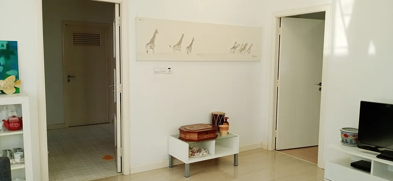 Fully Furnished 1+1 BR for Rent (HM 333) — Hulhumalé