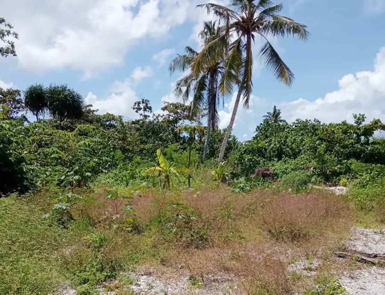Land Plot for Rent (IS 122) — Addu City