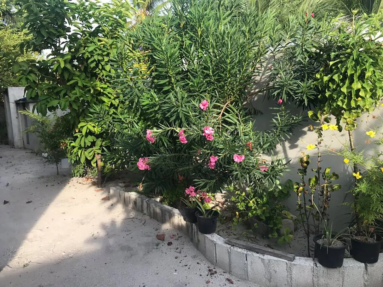 Guesthouse for Sale (IS 113) — Kaashidhoo