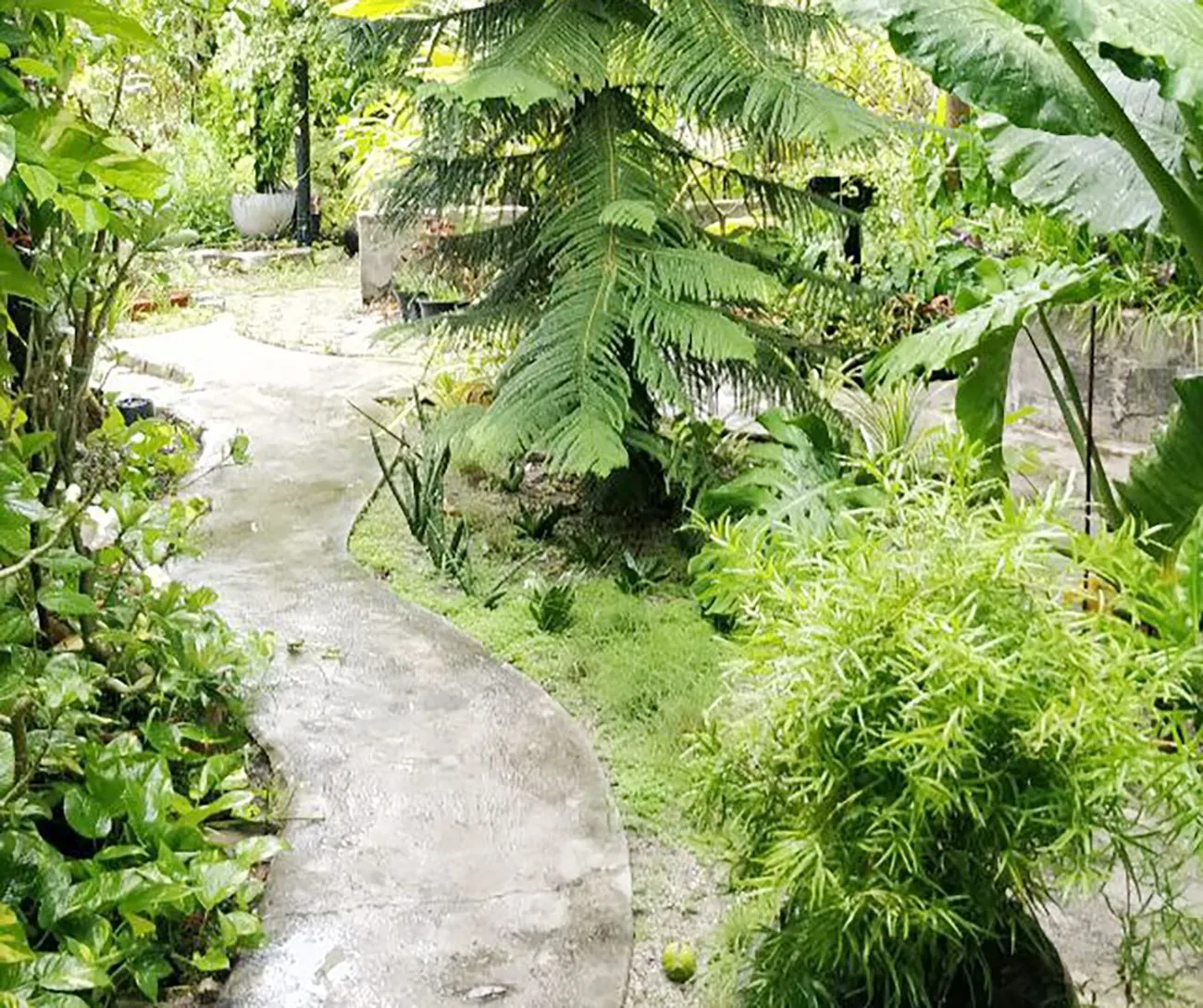 Land Plot for Sale (IS 111) — Aa. Thoddoo