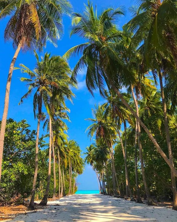 Land Plots for Sale/Lease (IS 105) — B. Fulhadhoo