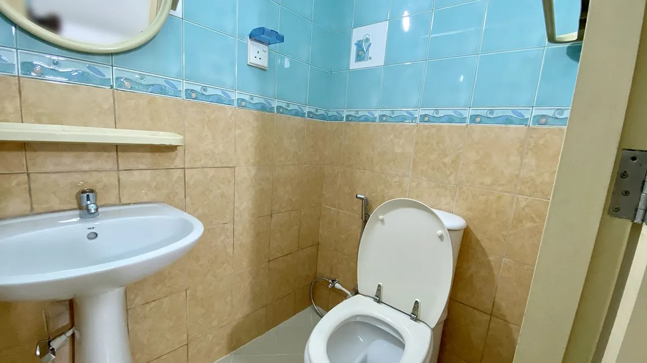 Fully furnished 1+1 BHK for Rent (ML 147) — Orchid Magu