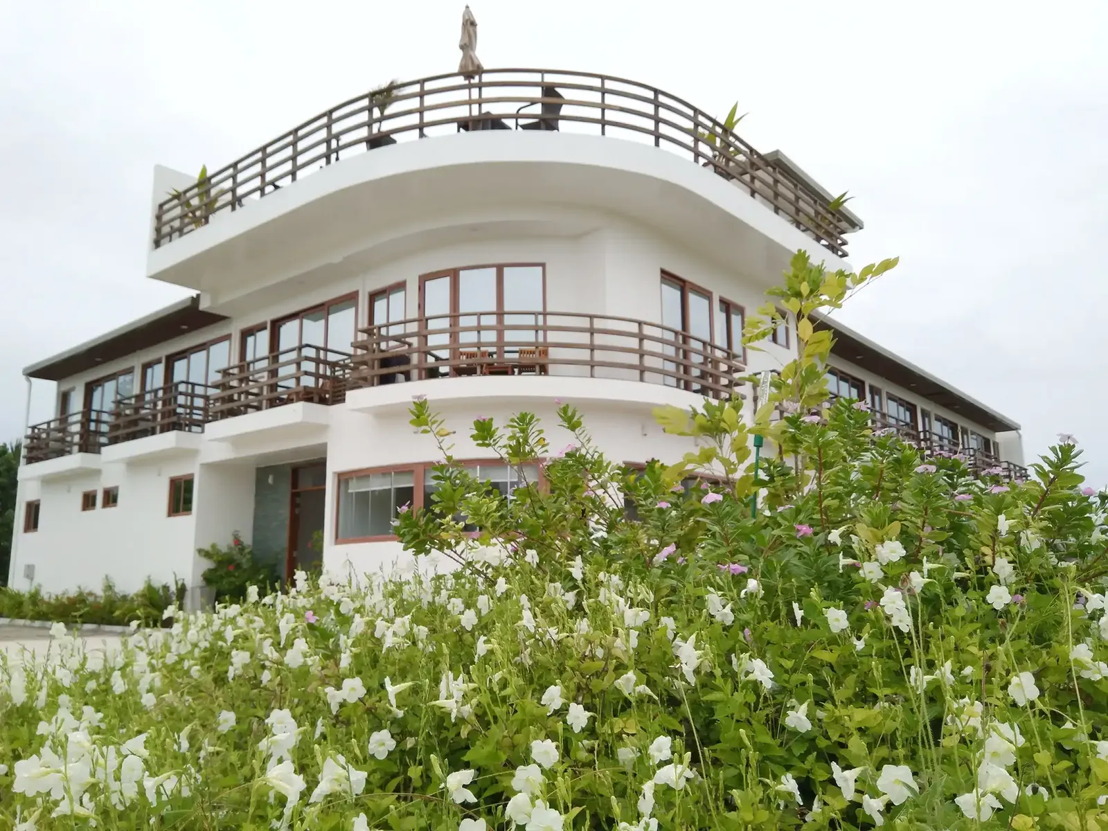 City Hotel for Sale (IS 125) — Goidhoo