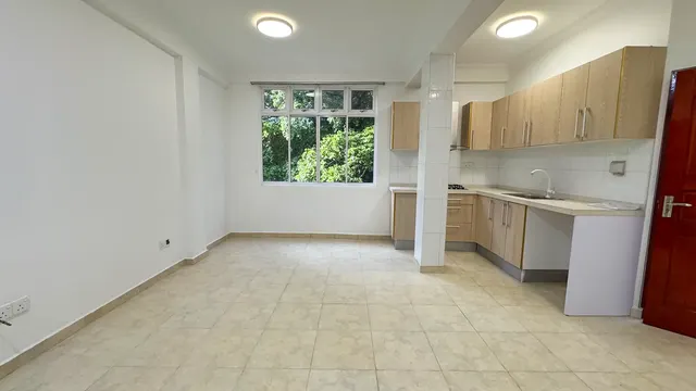 Unfurnished 1 BR for Rent (ML 309) — Orchid Magu