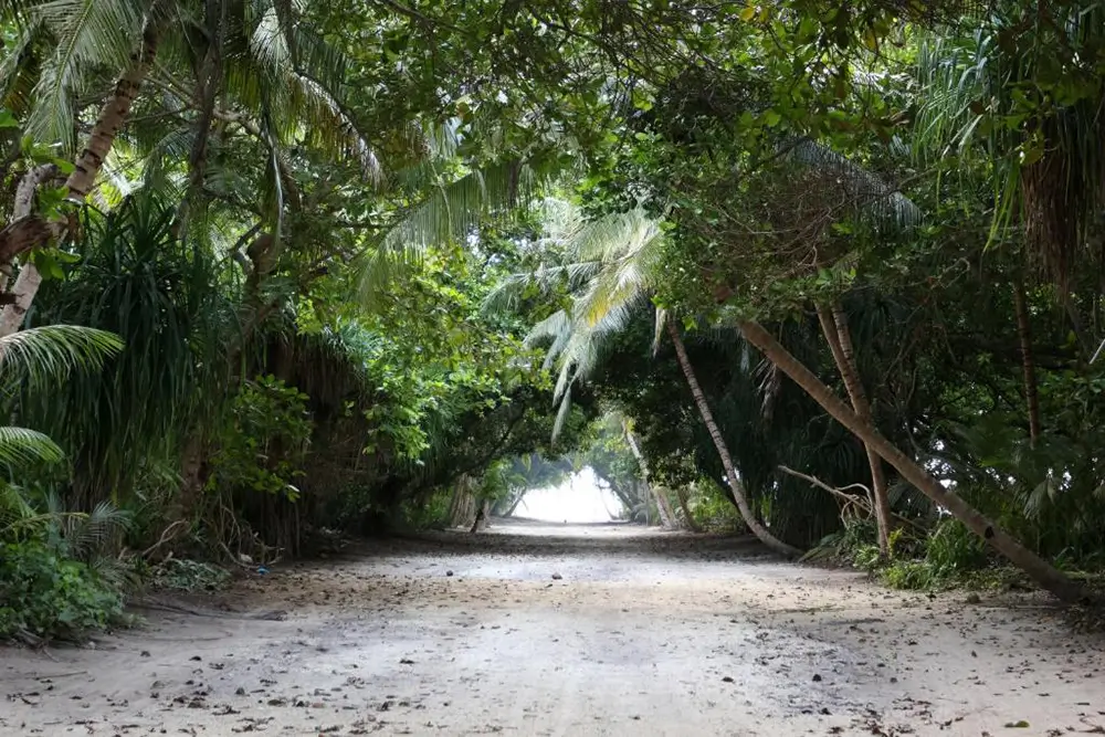 Land Plot for Sale (IS 127) — Dharavandhoo