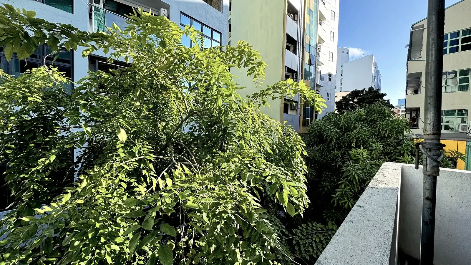 Unfurnished 3 BRs for Rent (ML 349) — Fareedhee Magu